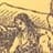 licad85