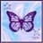 lilysmt