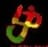 matias_casm