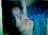 mininass