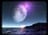 moon91