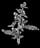 mugwort