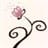 nashe