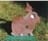 o_deivid