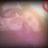 Fon Fiel