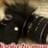 Fotok ArtDigital