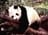 panda32