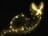 paty_12
