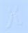 perthes