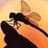 dragonfly8