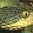 Leonardo Ortega