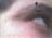 razo_69