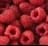 redfruit