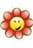 romina2008