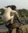 sahit