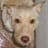Luthien García