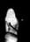 seti113