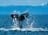 solet23
