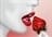 strawberry1