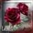 sulmy_18