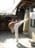 taekine