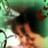 Suheil Zayas