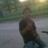 Nicko Sagardoy