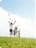 zoar_rdr