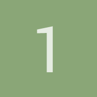 1solidus