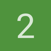 2010k