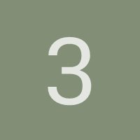 3dison