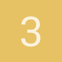 3ri50