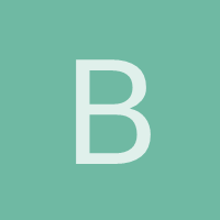 boytronic
