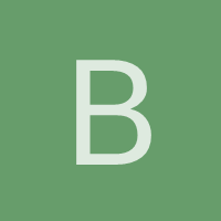 bisonye