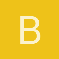 bisonte2