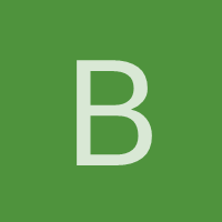 b13142121