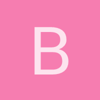 brodil1