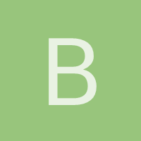 bishbis