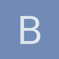 blvisual