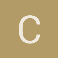 chavi79