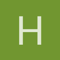 homysauz