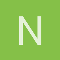 noedt