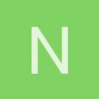 nayelinicte