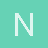 nesa2003