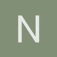 noefernando