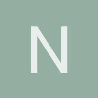 nanobust