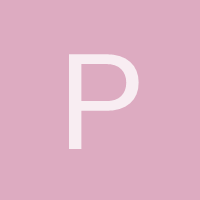 parakeet