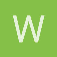 Wilson  Antezana coronel