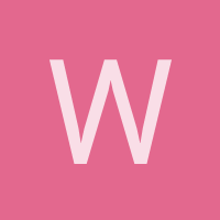 willystudios
