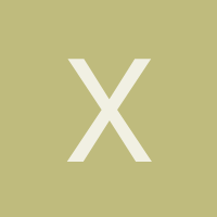 xica2010
